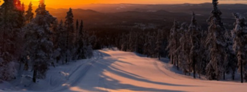 manchestermorgon_for_blur.jpg.